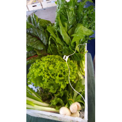 Cassetta di verdure bio 3kg