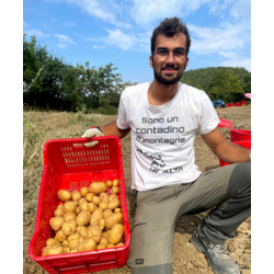 Patate Livingstone 3kg