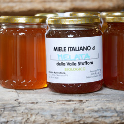Miele di melata